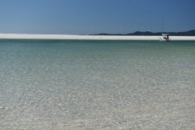 DSC_6128.JPG