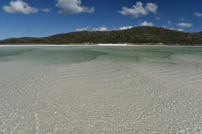 DSC_6132.JPG