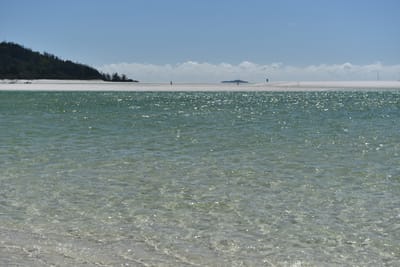 DSC_6133.JPG
