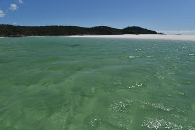 DSC_6137.JPG