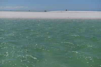 DSC_6140.JPG