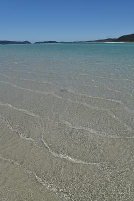 DSC_6147.JPG