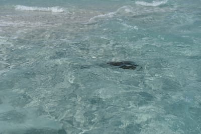 DSC_6154.JPG
