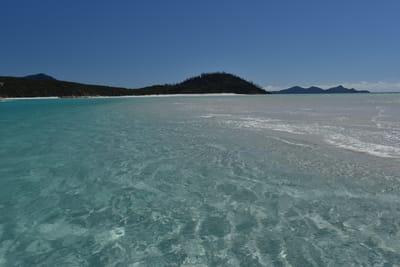 DSC_6155.JPG