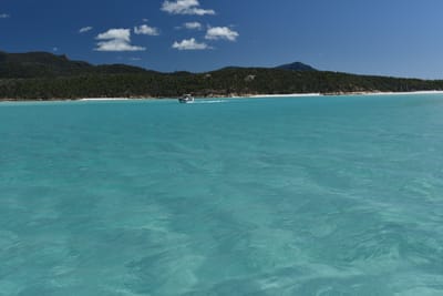 DSC_6156.JPG