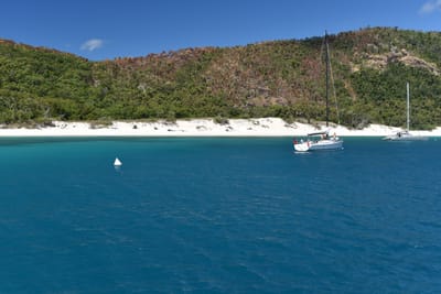 DSC_6157.JPG