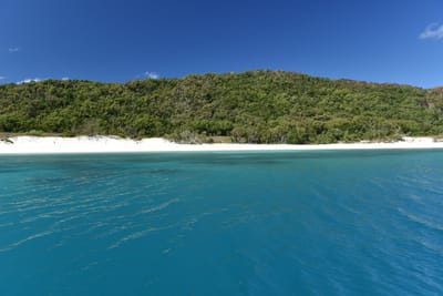 DSC_6164.JPG