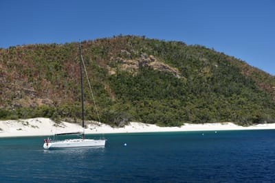 DSC_6167.JPG