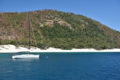 DSC_6168.JPG