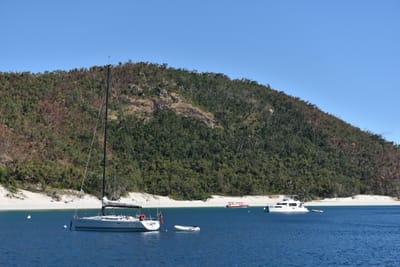 DSC_6214.JPG