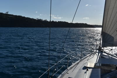 DSC_6232.JPG