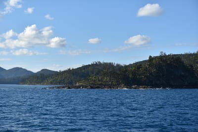 DSC_6233.JPG