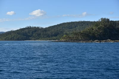 DSC_6235.JPG