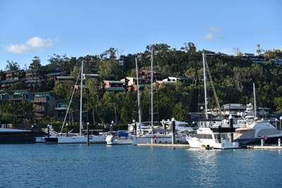 DSC_6246.JPG