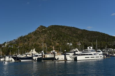 DSC_6247.JPG
