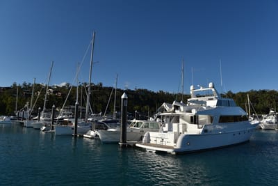 DSC_6248.JPG