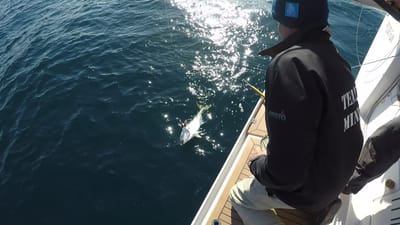 GOPR0036.MP4