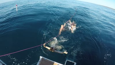 GOPR0048.MP4
