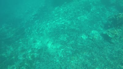 GOPR0141.MP4