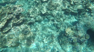 GOPR0142.MP4