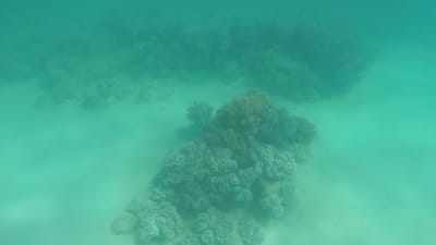 GOPR0479.MP4