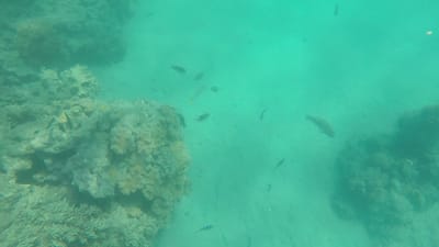 GOPR0481.MP4