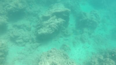GOPR0483.MP4