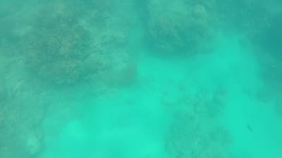GOPR0484.MP4