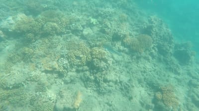 GOPR0485.MP4