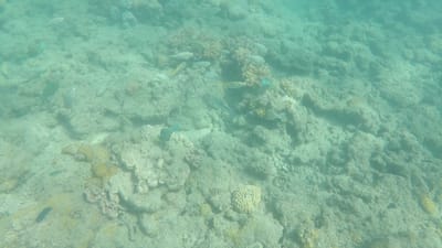 GOPR0487.MP4
