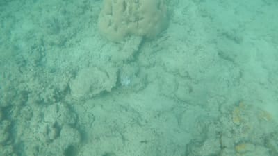 GOPR0490.MP4
