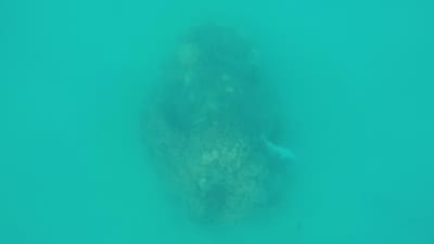 GOPR0492.MP4