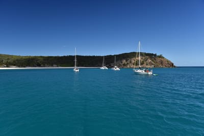 DSC_5878.JPG