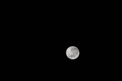 DSC_1287.JPG
