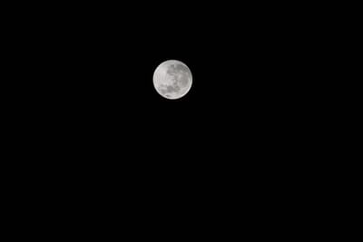 DSC_1288.JPG
