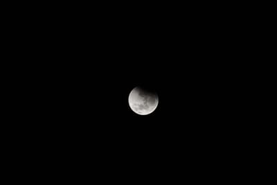DSC_1291.JPG