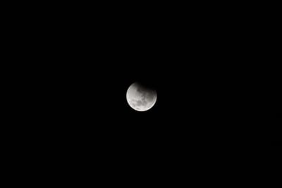 DSC_1292.JPG