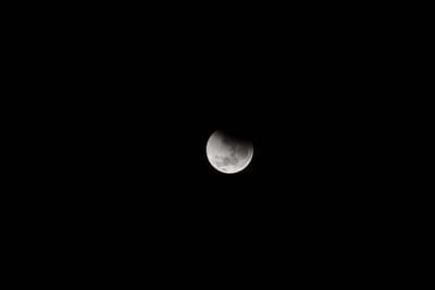 DSC_1294.JPG