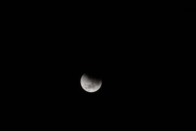 DSC_1295.JPG