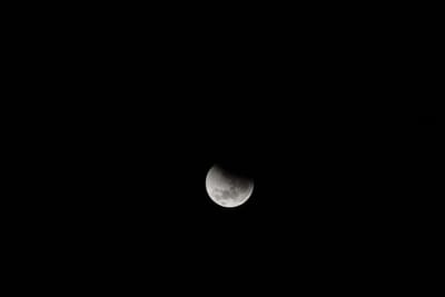 DSC_1297.JPG