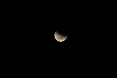 DSC_1298.JPG
