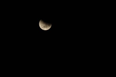DSC_1299.JPG
