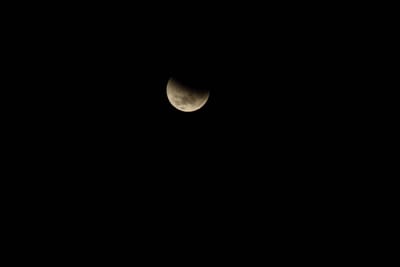 DSC_1301.JPG