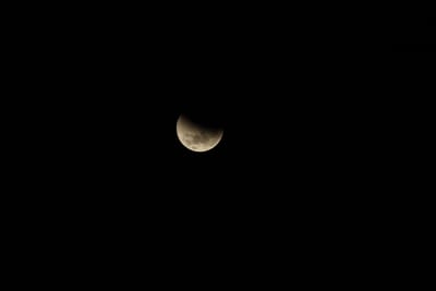 DSC_1303.JPG