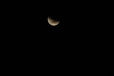DSC_1304.JPG