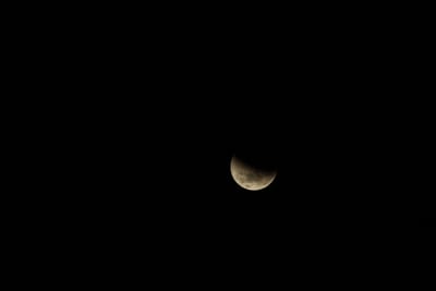 DSC_1306.JPG