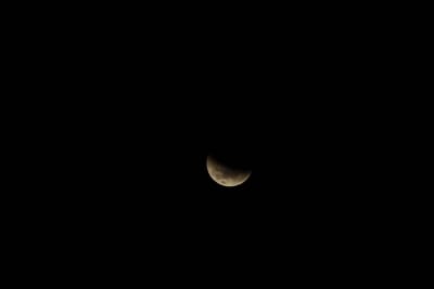 DSC_1308.JPG