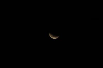 DSC_1311.JPG