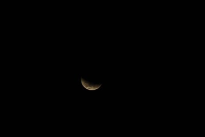 DSC_1312.JPG