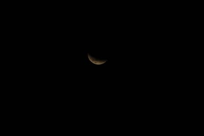 DSC_1315.JPG